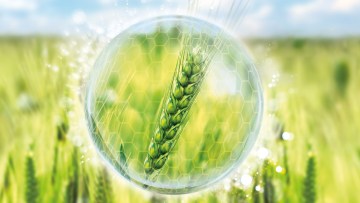 Wellness fürs Getreide, Entspannung für Sie