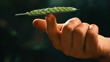 Hält die Balance zwischen leiwander Leistung und leiwandem Preis