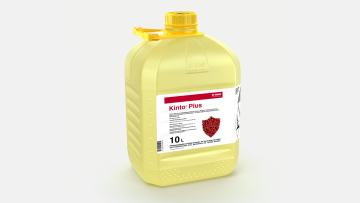 Kinto® Plus 