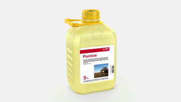 Pontos®