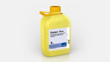 Delan® Pro 