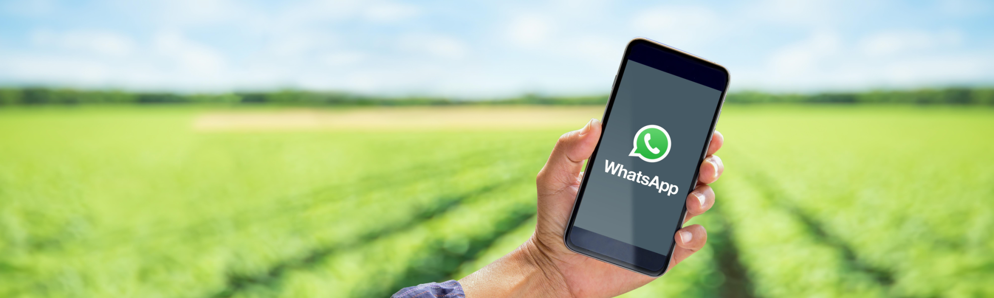 BASF WhatsApp Regionalberatung Agricultural Solutions