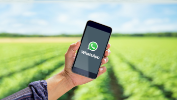 WhatsApp Pflanzenschutzberatung