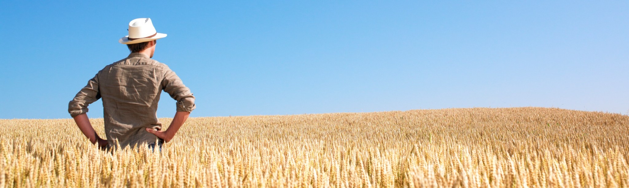 Services BASF Agricultural Solutions