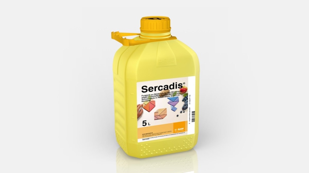 Sicher vor Rhizoctonia BASF Agricultural Solutions Österreich