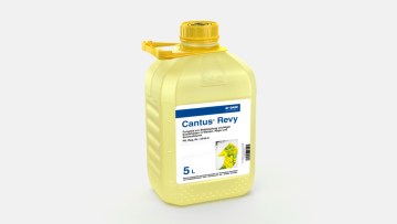 Cantus® Revy