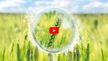 Die Revylution für maximale Leistung und maximale Erträge