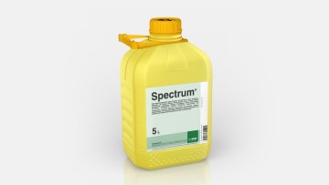 Spectrum®