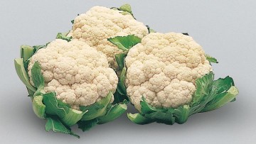 Blumenkohl